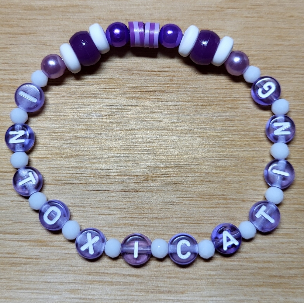 The Way I Loved You- Taylor Swift Friendship Bracelet, Size 7"